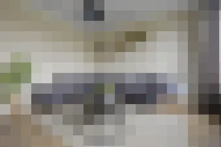 De Steenkamp 24 Voorthuizen thumbnail 11