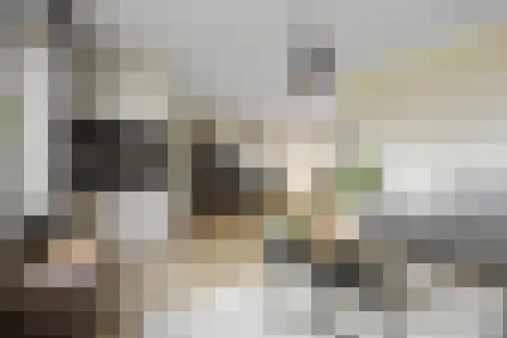 De Steenkamp 24 Voorthuizen thumbnail 12