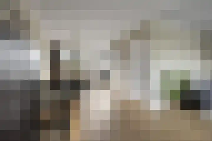 De Steenkamp 24 Voorthuizen thumbnail 13