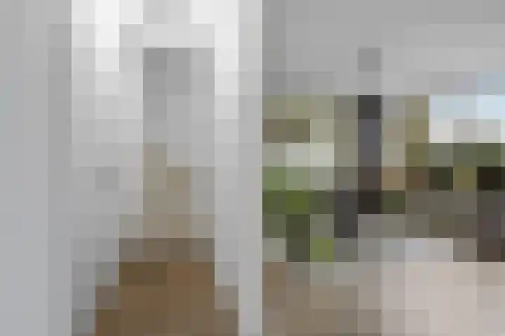 De Steenkamp 24 Voorthuizen thumbnail 14