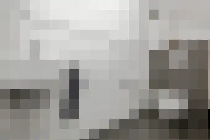 De Steenkamp 24 Voorthuizen thumbnail 15