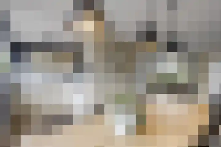 De Steenkamp 24 Voorthuizen thumbnail 18