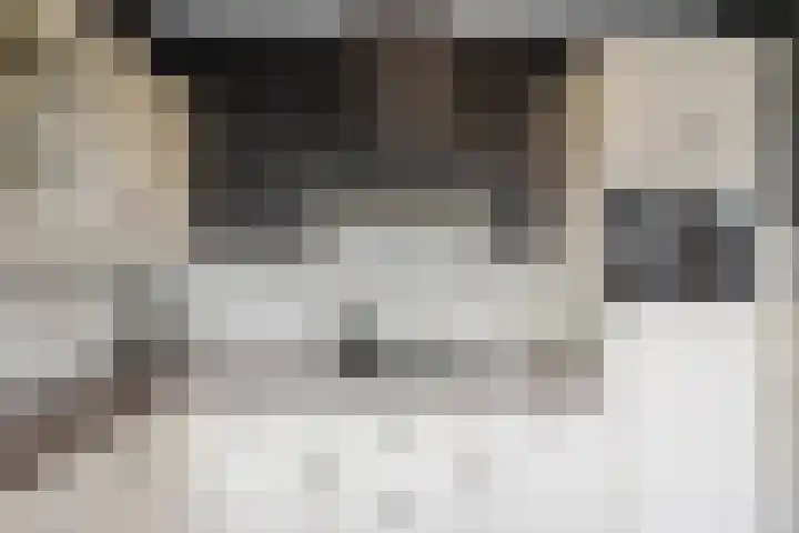 De Steenkamp 24 Voorthuizen thumbnail 20
