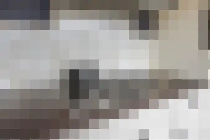De Steenkamp 24 Voorthuizen thumbnail 21