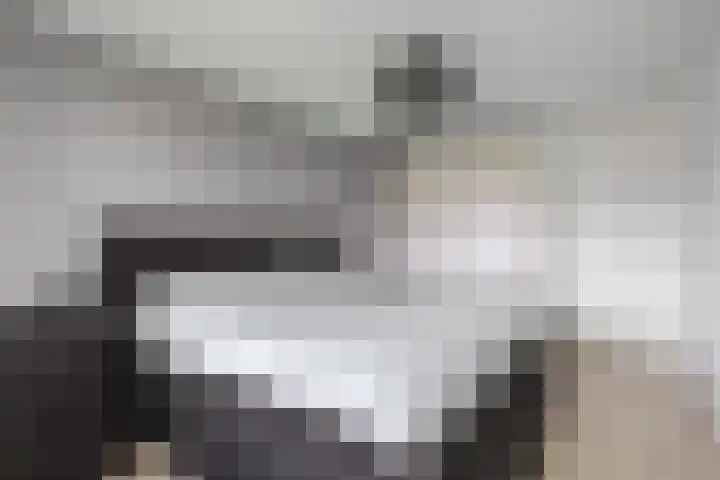 De Steenkamp 24 Voorthuizen thumbnail 24