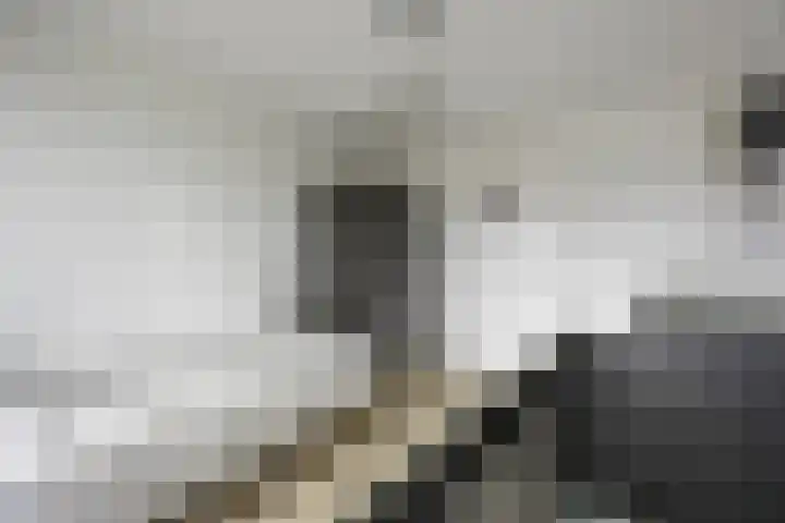 De Steenkamp 24 Voorthuizen thumbnail 28