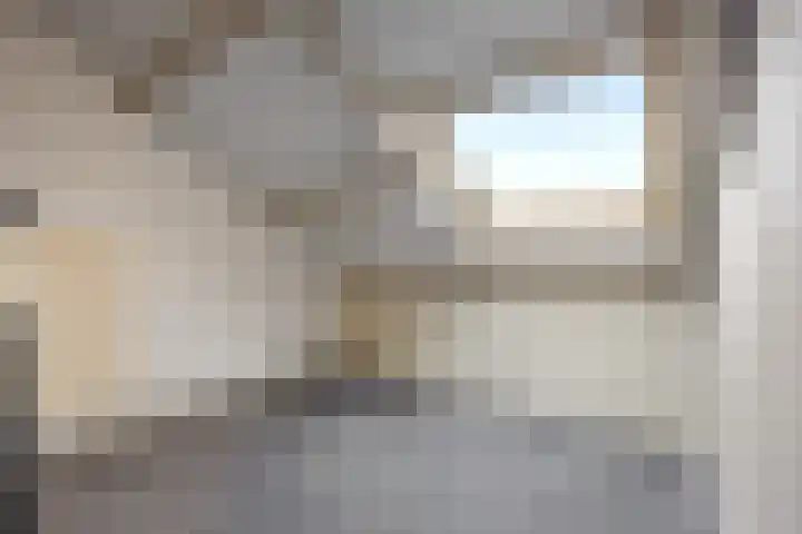 De Steenkamp 24 Voorthuizen thumbnail 33