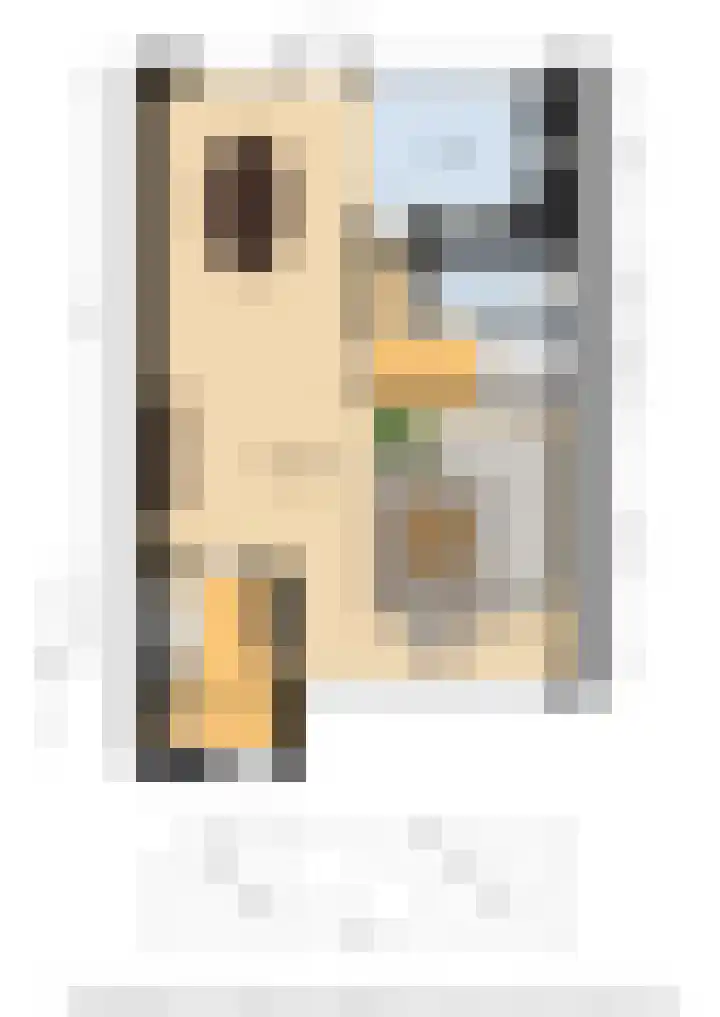 De Steenkamp 24 Voorthuizen thumbnail 45