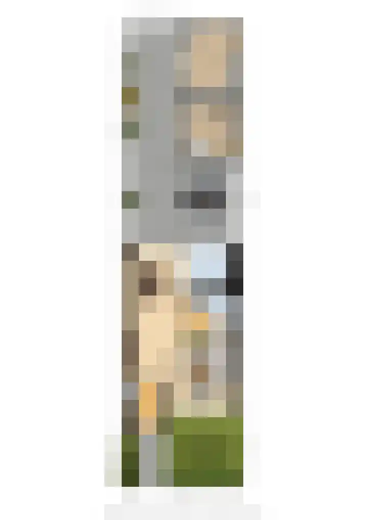 De Steenkamp 24 Voorthuizen thumbnail 49