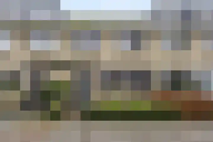 De Steenkamp 24 Voorthuizen thumbnail 5