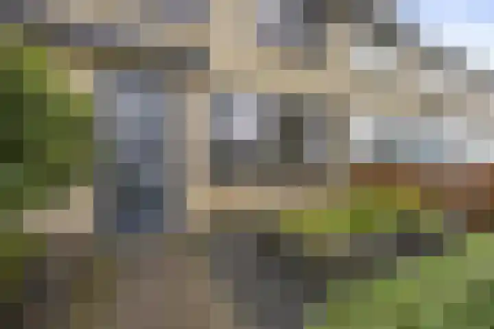 De Steenkamp 24 Voorthuizen thumbnail 6