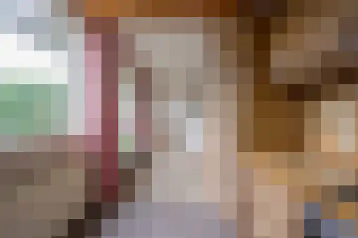 De Steenkamp 55 Voorthuizen thumbnail 12