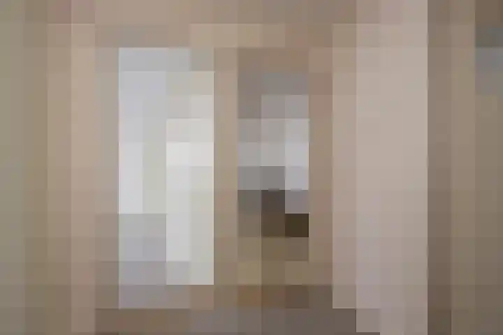 De Steenkamp 55 Voorthuizen thumbnail 16