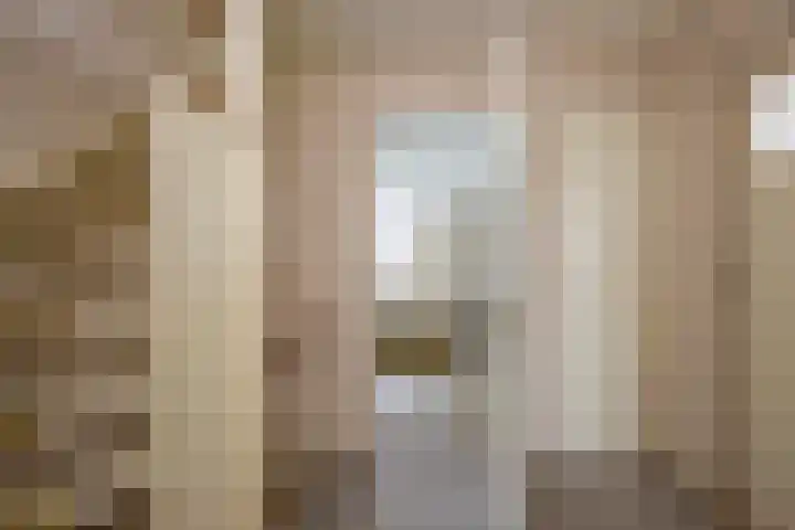 De Steenkamp 55 Voorthuizen thumbnail 20