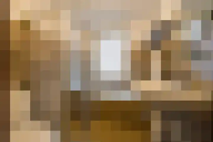 De Steenkamp 55 Voorthuizen thumbnail 21