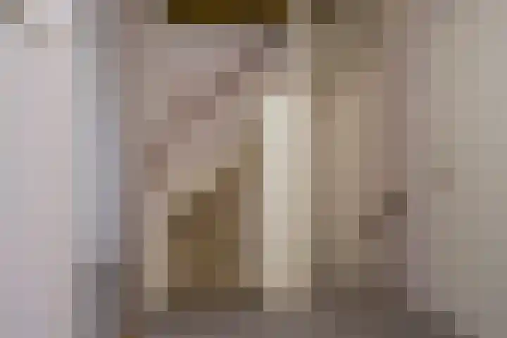 De Steenkamp 55 Voorthuizen thumbnail 22