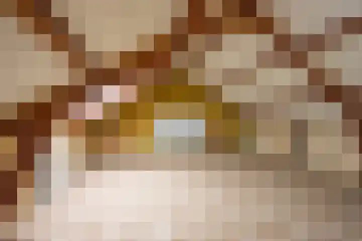 De Steenkamp 55 Voorthuizen thumbnail 23
