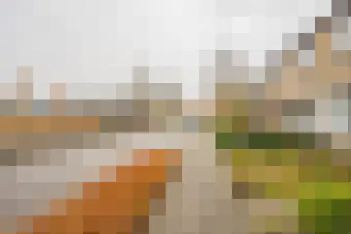 De Steenkamp 55 Voorthuizen thumbnail 27