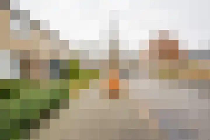 De Steenkamp 55 Voorthuizen thumbnail 28