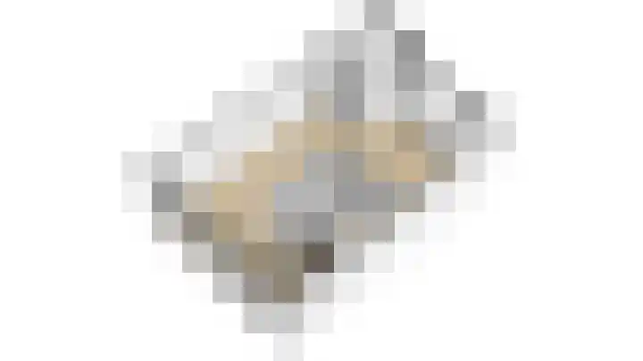 De Steenkamp 55 Voorthuizen thumbnail 30