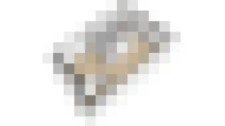 De Steenkamp 55 Voorthuizen thumbnail 31