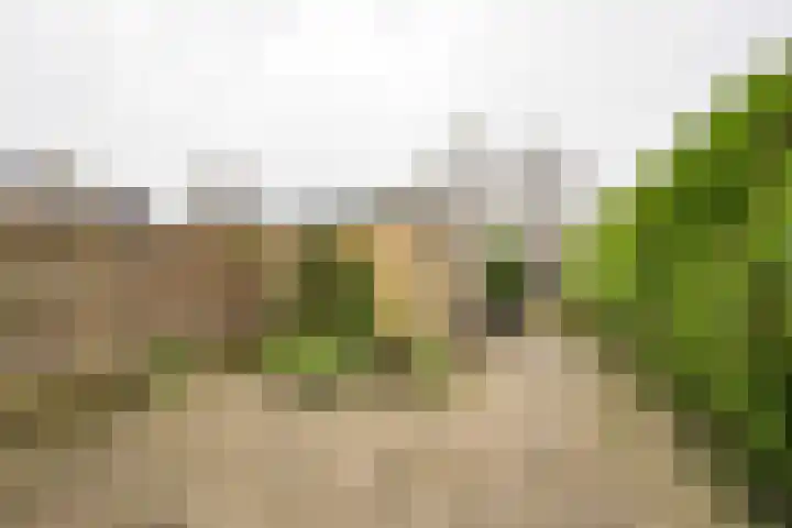 De Steenkamp 55 Voorthuizen thumbnail 4