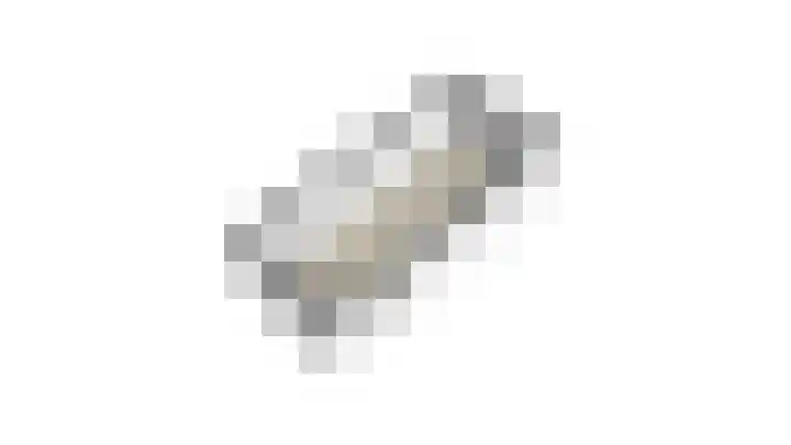 De Steenkamp 55 Voorthuizen thumbnail 40