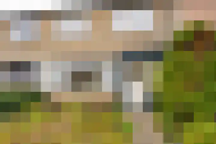 De Steenkamp 55 Voorthuizen thumbnail 5