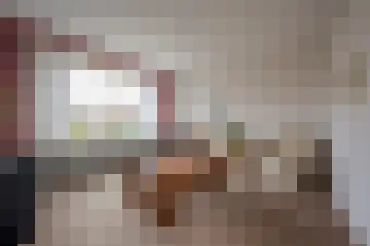 De Steenkamp 55 Voorthuizen thumbnail 6