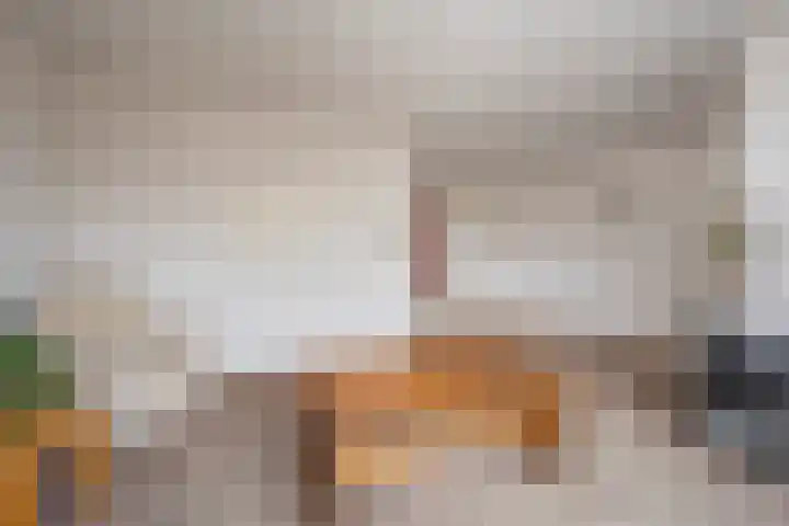 De Steenkamp 55 Voorthuizen thumbnail 7