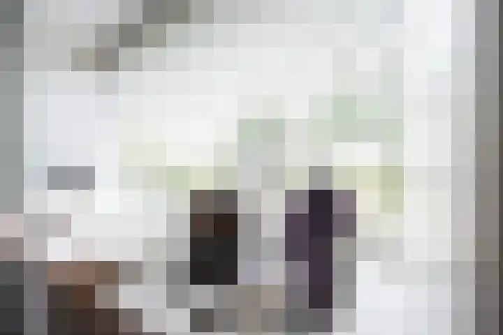 De Steenkamp 61 Voorthuizen thumbnail 10
