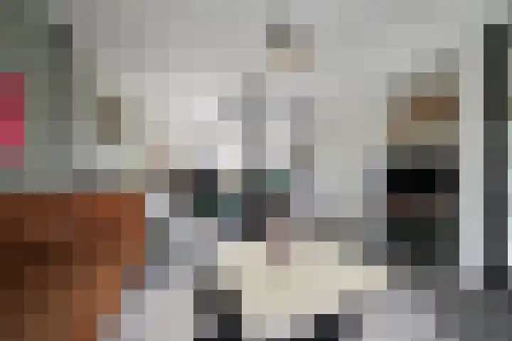 De Steenkamp 61 Voorthuizen thumbnail 14