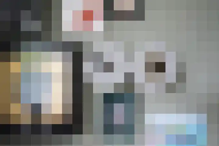 De Steenkamp 61 Voorthuizen thumbnail 15
