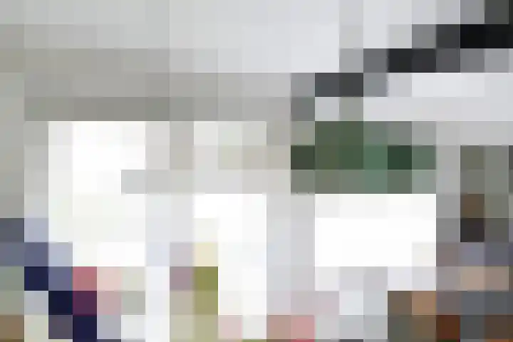 De Steenkamp 61 Voorthuizen thumbnail 18
