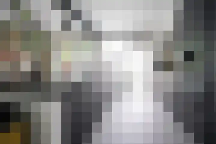 De Steenkamp 61 Voorthuizen thumbnail 19