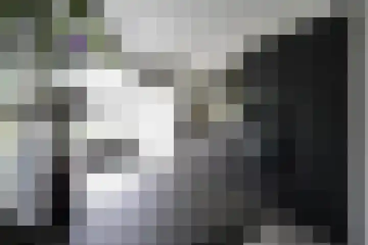 De Steenkamp 61 Voorthuizen thumbnail 20