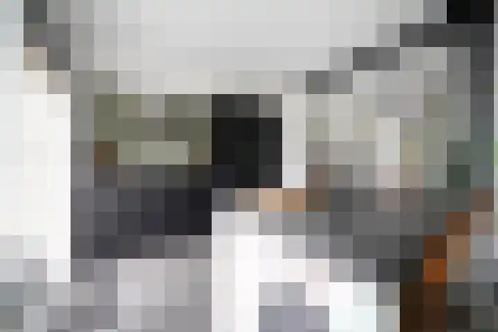 De Steenkamp 61 Voorthuizen thumbnail 21
