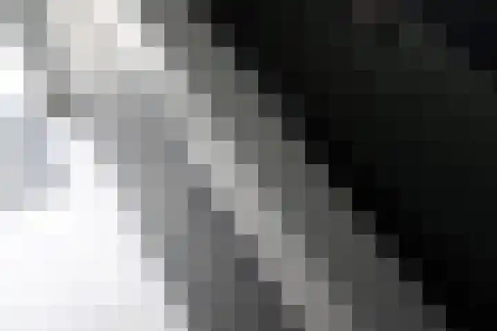 De Steenkamp 61 Voorthuizen thumbnail 22
