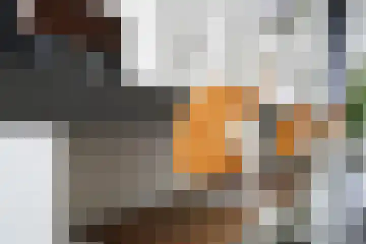 De Steenkamp 61 Voorthuizen thumbnail 23