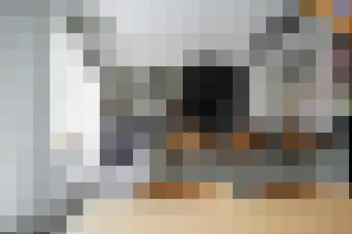 De Steenkamp 61 Voorthuizen thumbnail 25