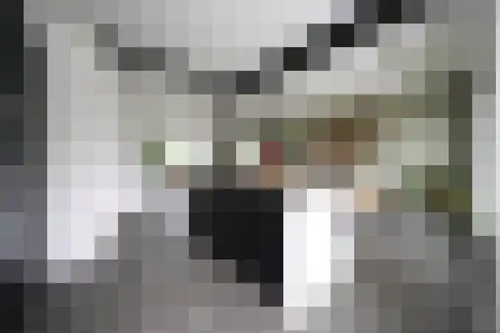 De Steenkamp 61 Voorthuizen thumbnail 28