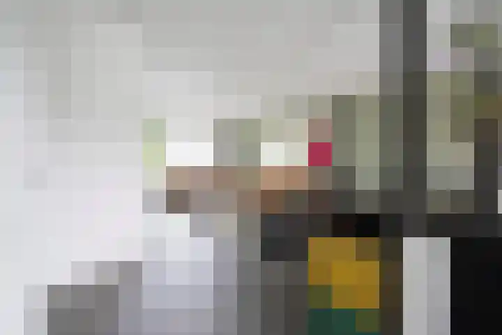 De Steenkamp 61 Voorthuizen thumbnail 29