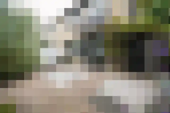 De Steenkamp 61 Voorthuizen thumbnail 31