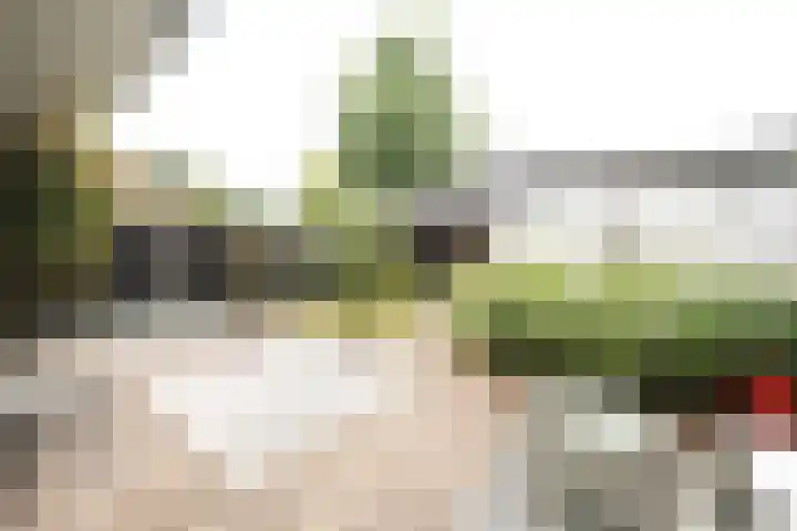 De Steenkamp 61 Voorthuizen thumbnail 32