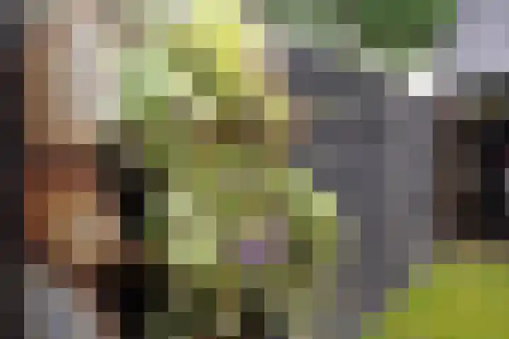 De Steenkamp 61 Voorthuizen thumbnail 33