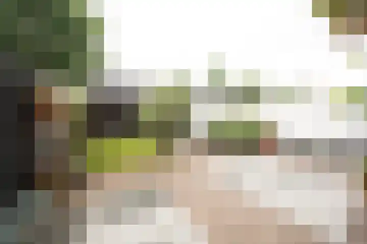 De Steenkamp 61 Voorthuizen thumbnail 34