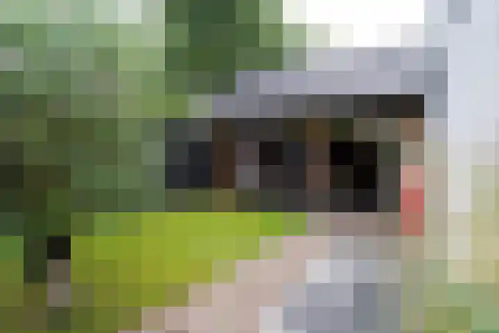 De Steenkamp 61 Voorthuizen thumbnail 35