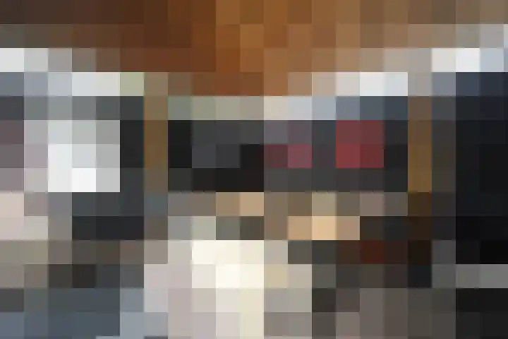 De Steenkamp 61 Voorthuizen thumbnail 36