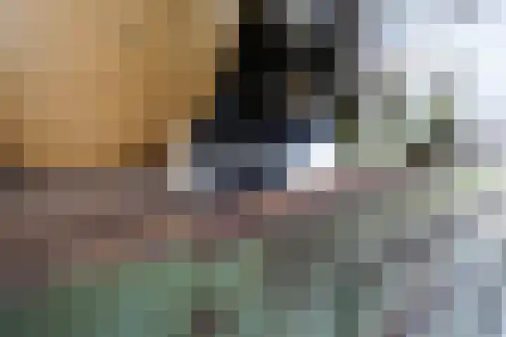 De Steenkamp 61 Voorthuizen thumbnail 38
