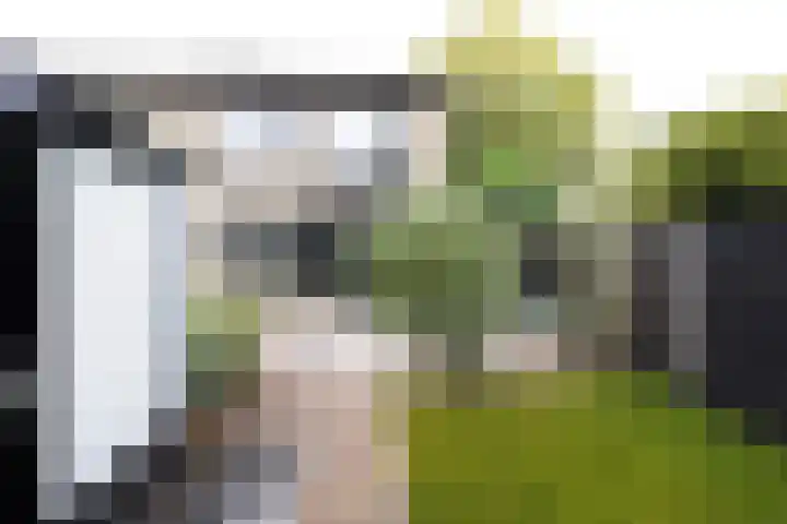 De Steenkamp 61 Voorthuizen thumbnail 39